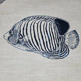 CR70312 Navy blue soft beige cream marine tropical reef fish coastal Nautical Wallpaper
