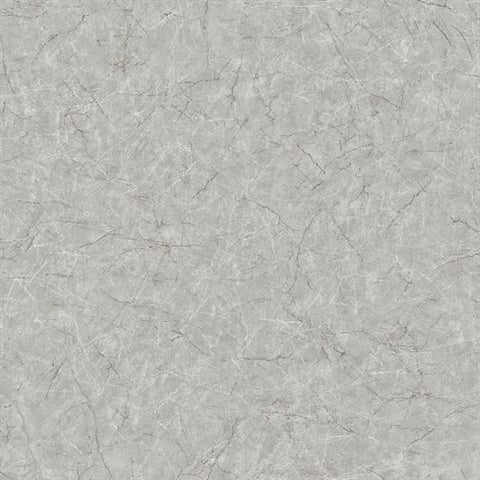 CR81210 Quartz Cracked Leather Wallpaper