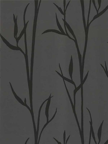 DA3511 Matcha Black Wallpaper