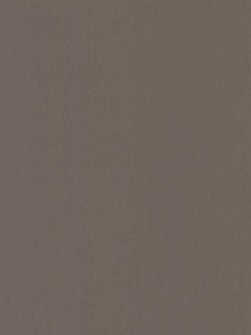 DA3537 Radiant Juniper Brown Wallpaper