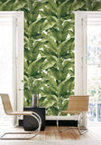 DB10104 Paradisio Palm White Green Wallpaper