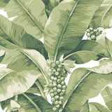 DB10104 Paradisio Palm White Green Wallpaper