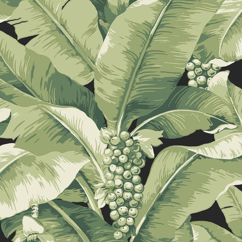DB10134 Paradisio Palm Black Sage Wallpaper