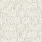 DB10705 Daisy Indigo Neutrals Wallpaper
