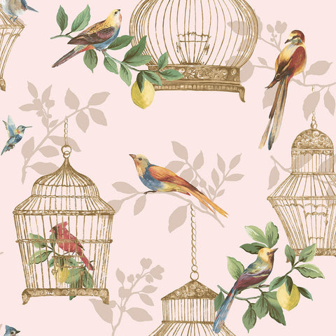DB11901 Audubon Blush Wallpaper 