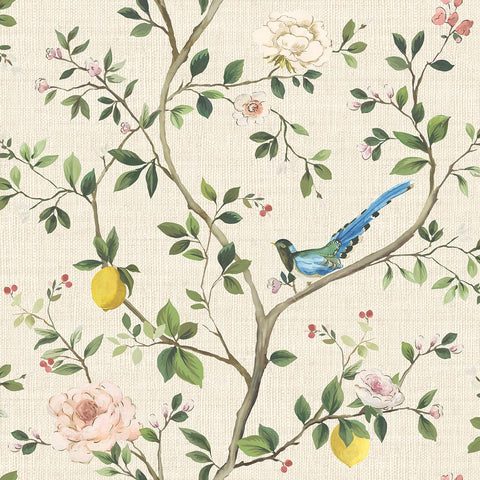 DB40059 Blossom Citrus Floral Cream Wallpaper