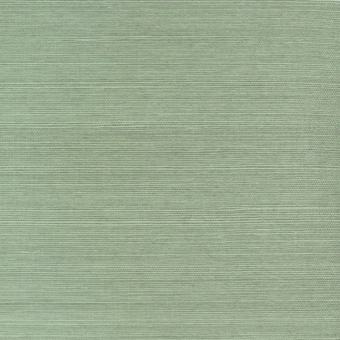 DB46004 Enya Sisal Desert Sage Wallpaper