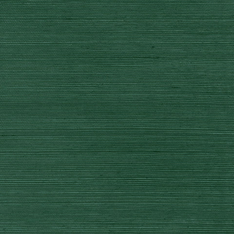 DB46006 Enya Sisal Hunter Green Wallpaper