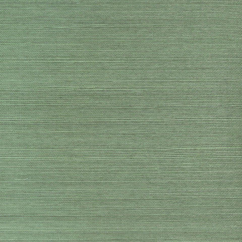 DB46054 Enya Sisal Leaf Green Wallpaper