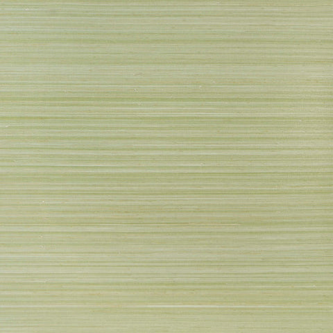 DB46112 Anhe Abaca Apple Green Wallpaper