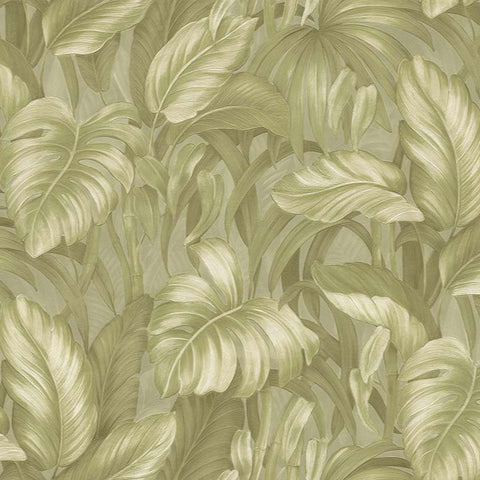DB73721 Voyage Monstera Garden Wallpaper 