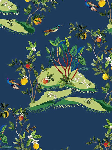 DBW9002 Citrus Hummingbird Navy Wallpaper