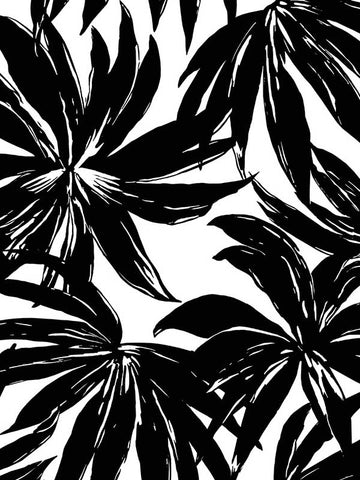 DBW9111 Palma Botanical Black Wallpaper