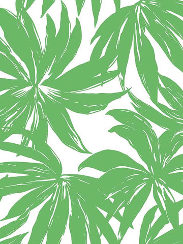 DBW9112 Palma Botanical Green Wallpaper