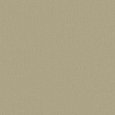 DC30042 Abstract Lines Beige Wallpaper