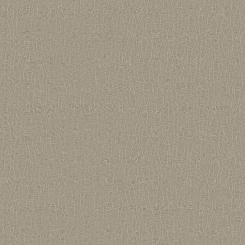 DC30043 Abstract Lines Beige Wallpaper