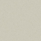 DC30051 Textured Lines Beige Wallpaper