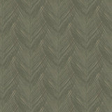 DC30093 Feather Print Green Wallpaper