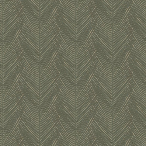 DC30093 Feather Print Green Wallpaper
