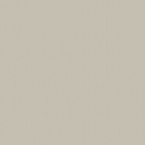 DC30102 Diagonal Texture Beige Wallpaper