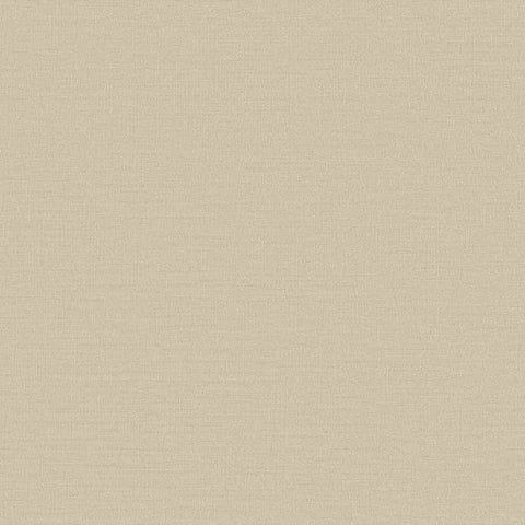DC30117 Abstract Texture Beige Wallpaper