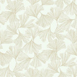 DD3741 Ginkgo Toss Wallpaper Gold York Wallpaper