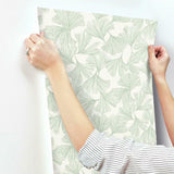DD3745 Ginkgo Toss Wallpaper Green York Wallpaper