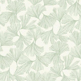 DD3745 Ginkgo Toss Wallpaper Green York Wallpaper