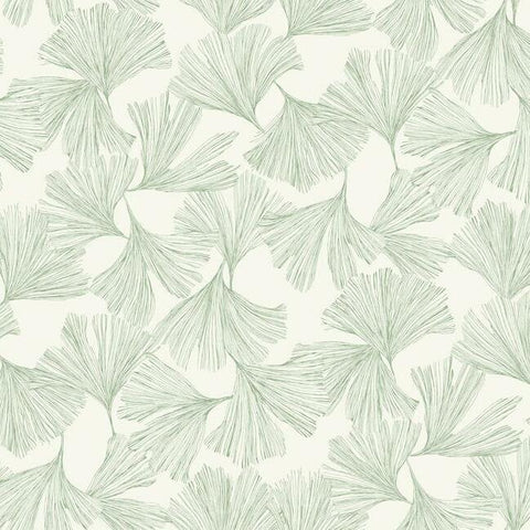 DD3745 Ginkgo Toss Wallpaper Green York Wallpaper
