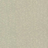 DD3752 Weathered Cypress Taupe York Wallpaper