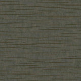 DD3765 Tiger's Eye Charcoal Wallpaper