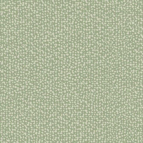 DD3801 Galaxies Green Wallpaper