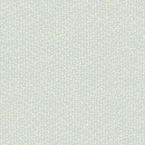 DD3804 Galaxies Grey Wallpaper 