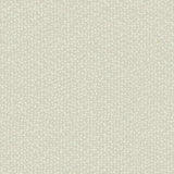 DD3805 Galaxies Beige Wallpaper