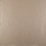 DE9000 Oasis Glint Wallpaper 