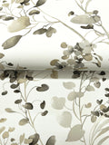 DF3342 Spring Whispers Charcoal Wallpaper 