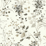 DF3342 Spring Whispers Charcoal Wallpaper 