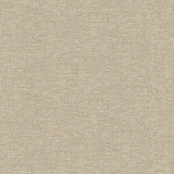 DWP0233-01 Mottled Metallic Plain Wallpaper