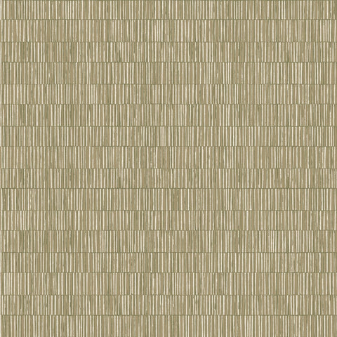 DWP0362-01 Bamboo Screen Wallpaper