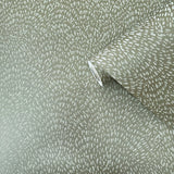 DWP0363-01 Fan Fleck Wallpaper