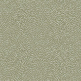 DWP0363-01 Fan Fleck Wallpaper
