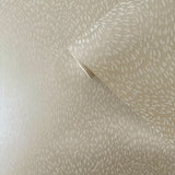 DWP0363-03 Fan Fleck Wallpaper 
