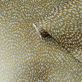 DWP0363-04 Fan Fleck Wallpaper