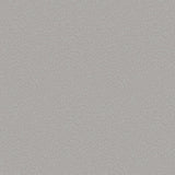 DWP0363-06 Fan Fleck Wallpaper