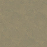 DWP0366-02 Plaster Fan Wallpaper 