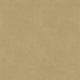 DWP0366-04 Plaster Fan Wallpaper