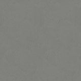 DWP0366-07 Plaster Fan Wallpaper