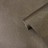DWP0366-08 Plaster Fan Wallpaper