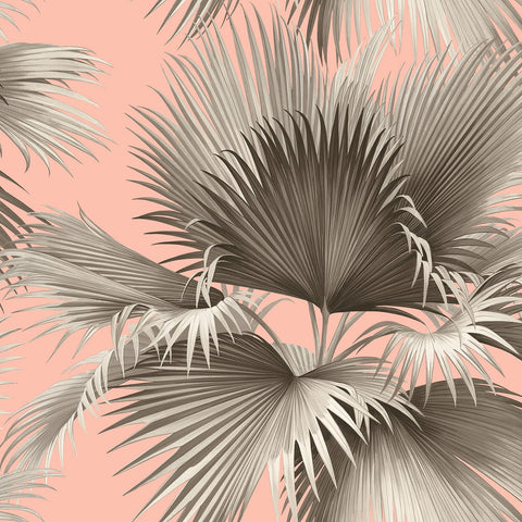EC81901 Summer Palm Wallpaper