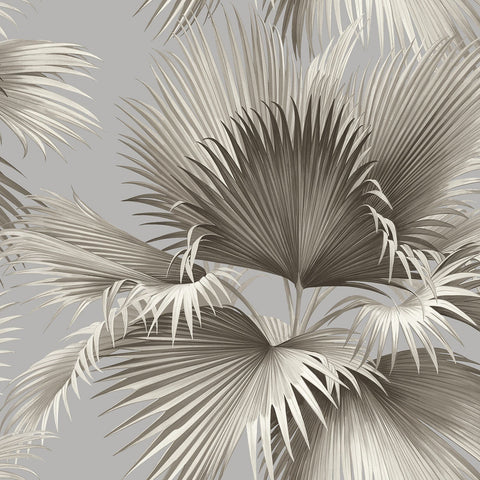 EC81908 Summer Palm Wallpaper